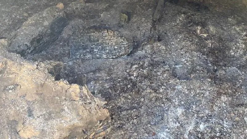 Фото: Минэкологии МО