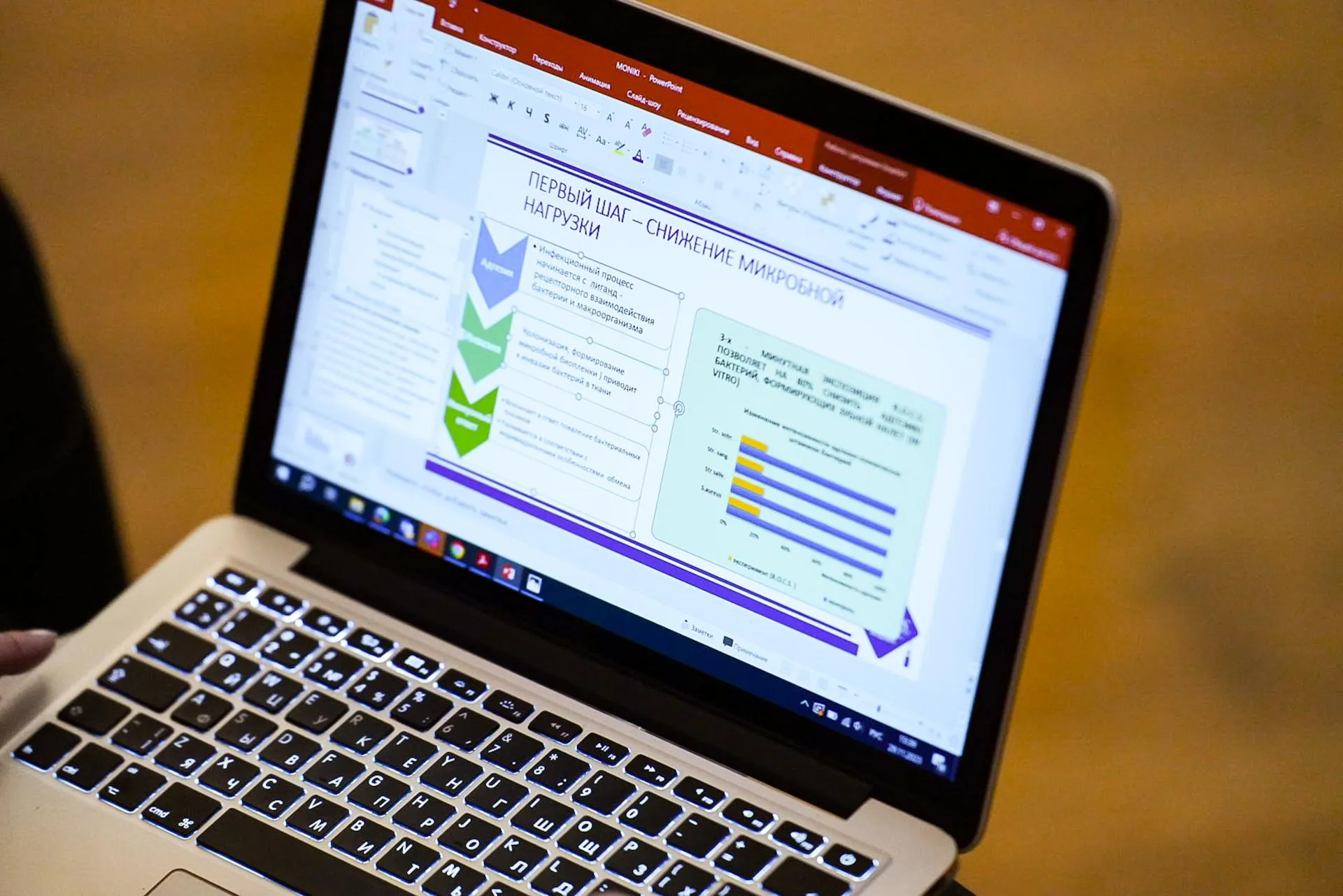 Фото: Александра Степанова