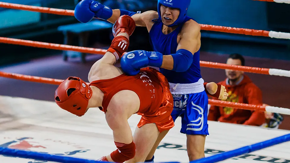 Фото: pxhere.com