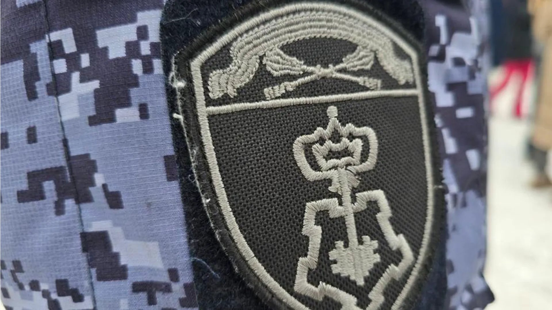 Фото: МедиаБанк Подмосковья/Яна Шаливская