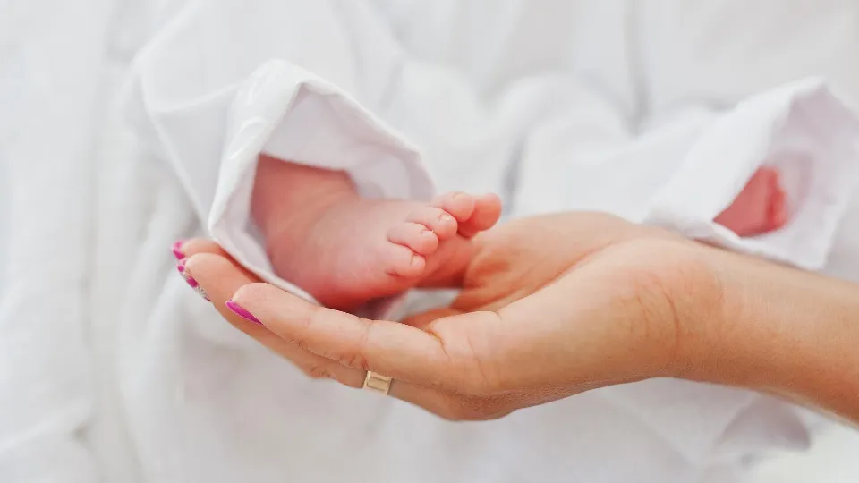 Фото: freepik.com