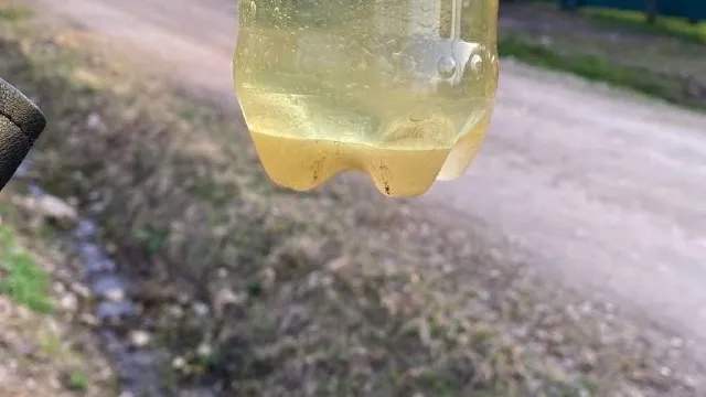 Фото:t.me/vlk_sluh