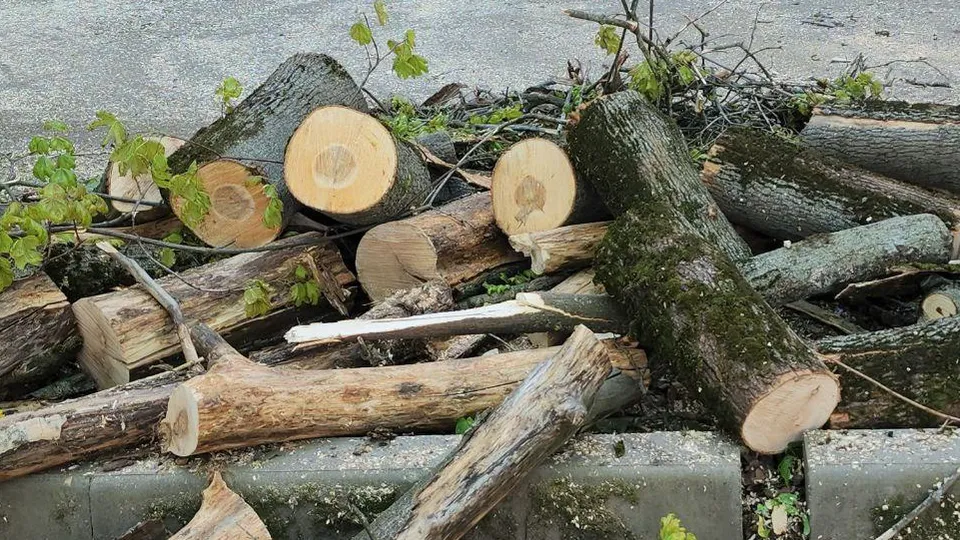 Фото: Наталья Лымарь