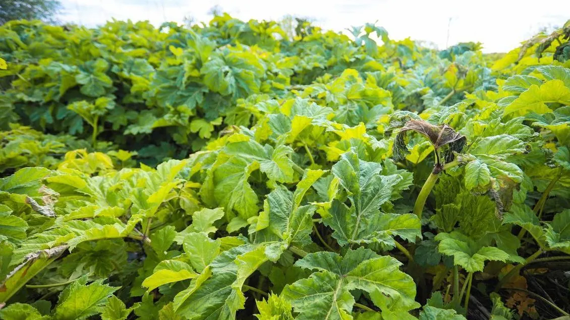 Фото: Даниил Коблов