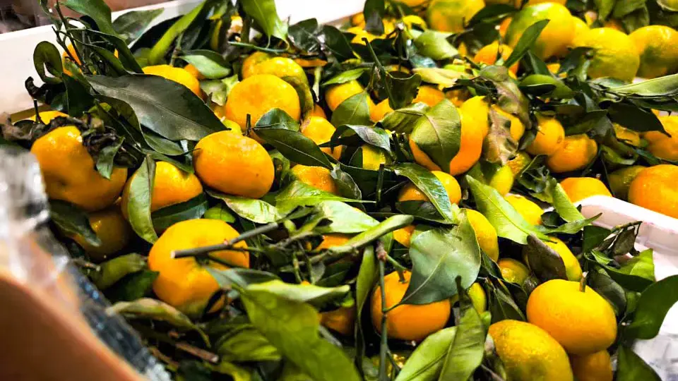 Фото: REGIONS/Роман Малышенко