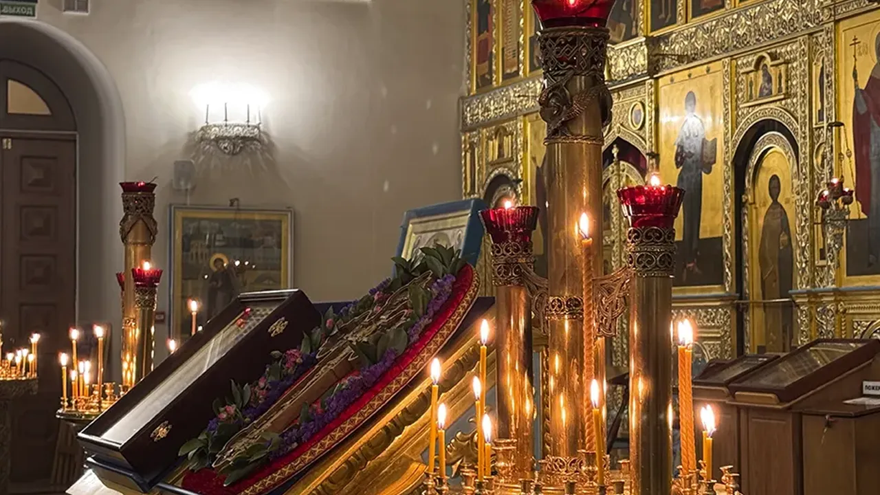 МедиаБанк Подмосковья/Мария Шматкова