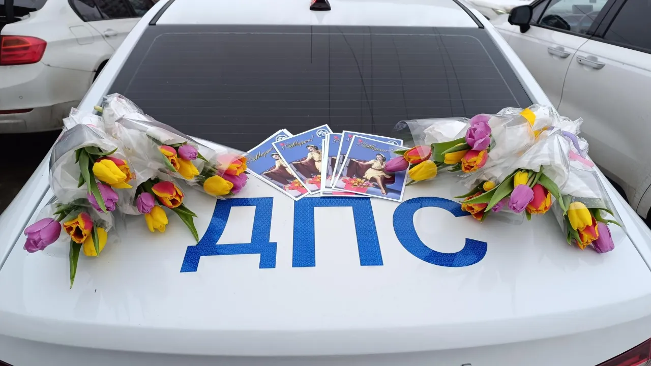 МедиаБанк Подмосковья/Екатерина Федосеева