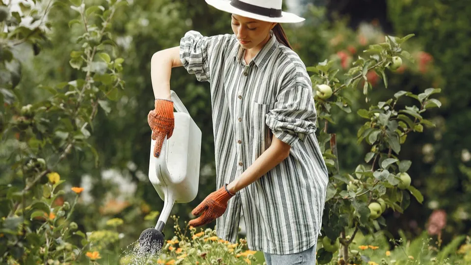 Фото: freepik.com