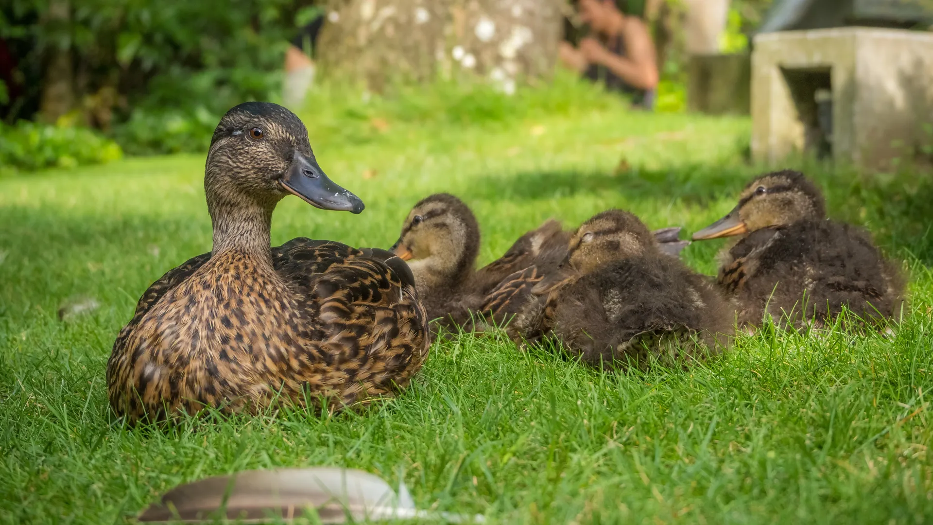 Фото: freepik.com