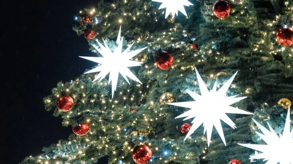 Фото: пресс-служба г.о. Дубна