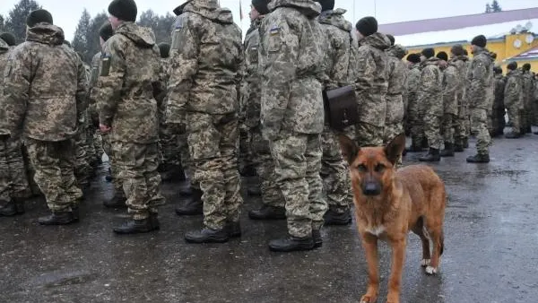 Эксперт: Украина может развязать войну с Россией