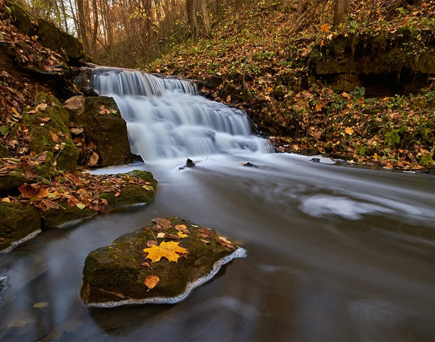 Фото: клуб путешествий «Гребни»