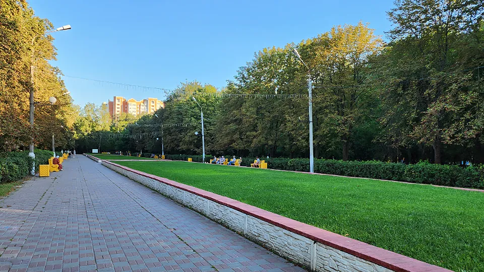 Фото: Медиабанк Подмосковья/Александр Стёпушкин