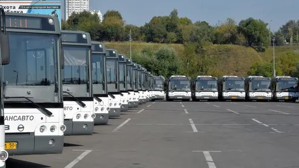 Андрей Жабин / Подмосковье сегодня
