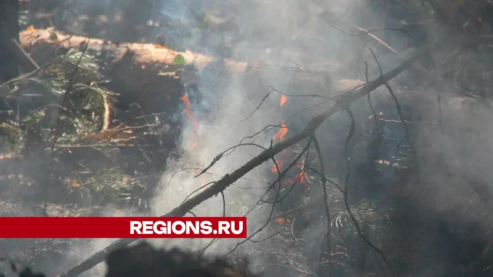 Фото: REGIONS/Василий Тремасов