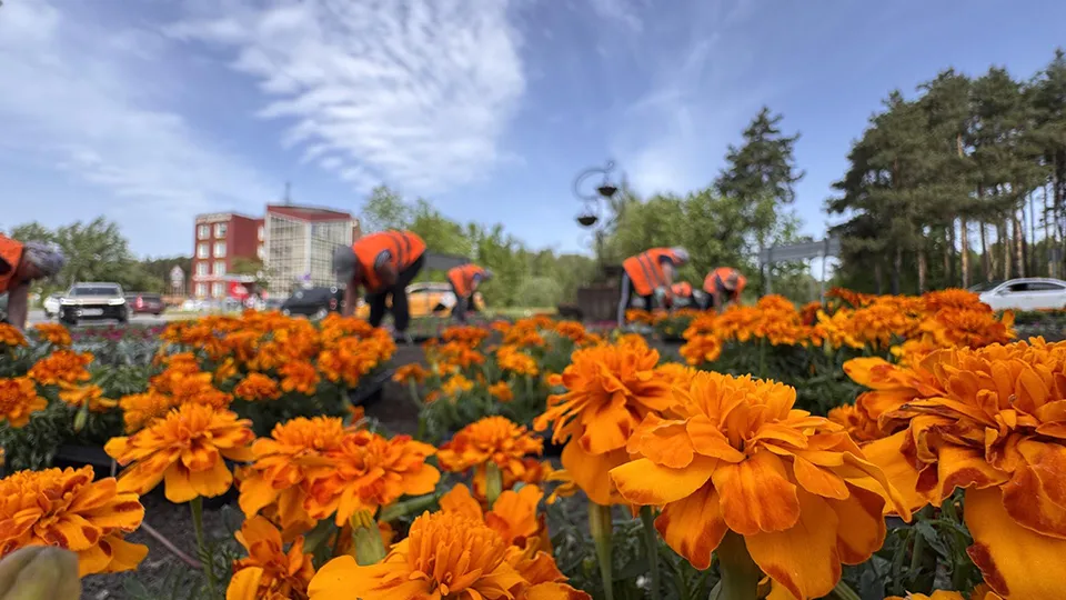 Фото: REGIONS/Мария Шматкова