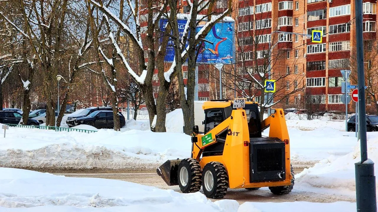 REGIONS/Полина Пахомова