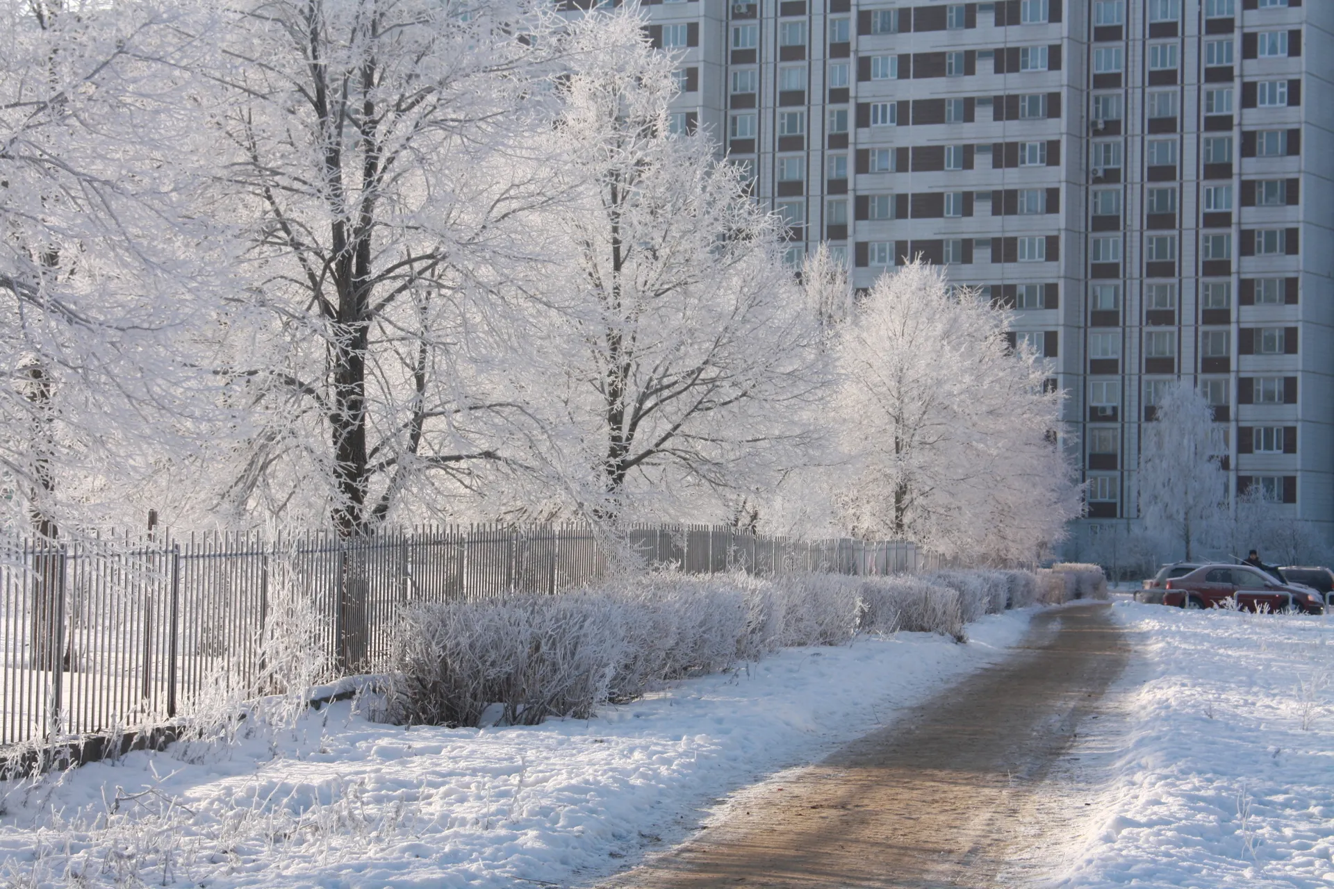 Мороз в Черноголовке