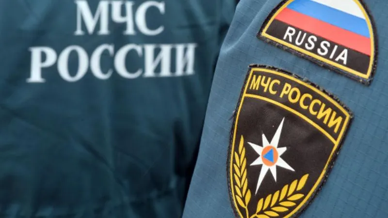 Максим Богодвид / РИА Новости 