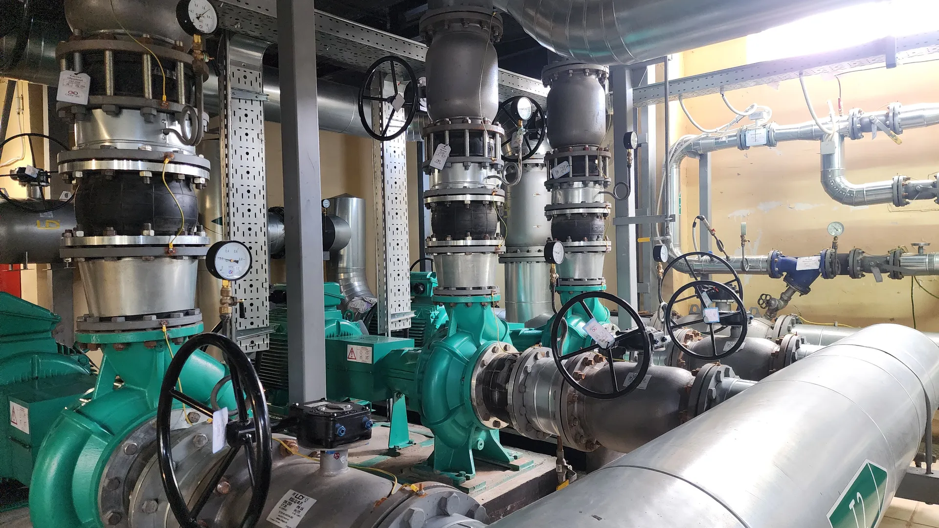 Фото: МедиаБанк Подмосковья/Ольга Аввакумова