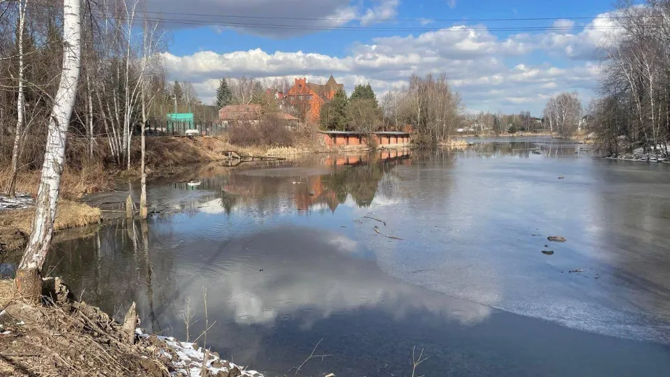 Фото: пресс-служба администрации г.о. Химки