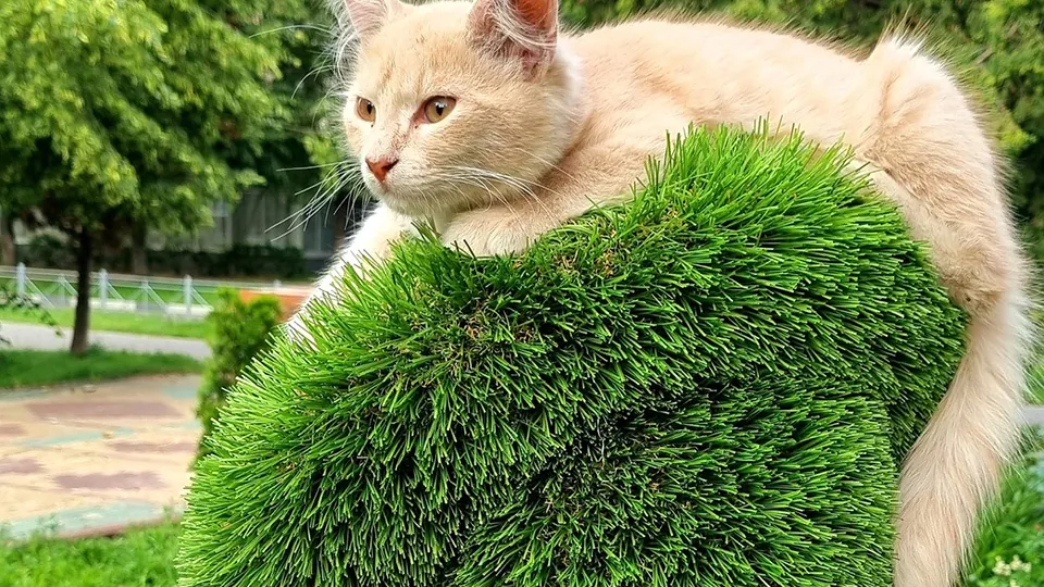 Фото: Андрей Башинский