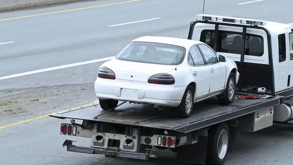 Фото: pxhere.com