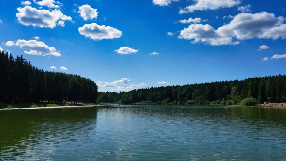 Фото: МедиаБанк Подмосковья/Дмитрий Зайчиков