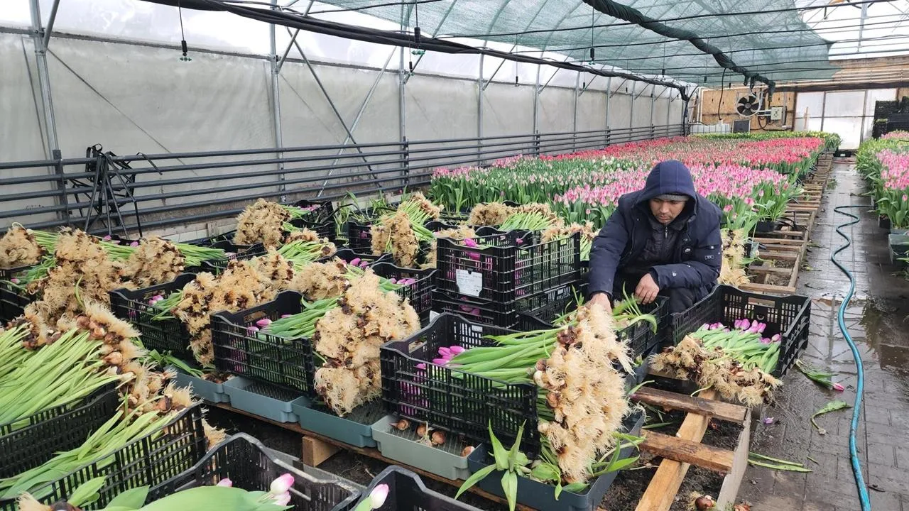 REGIONS/Валерий Гореловский