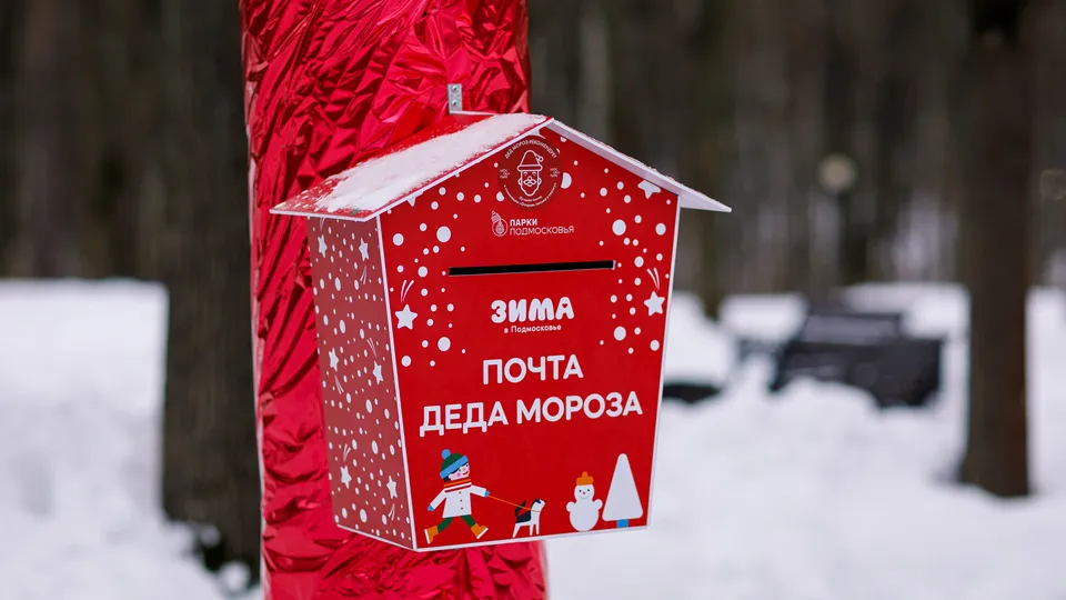 Фото: медиасток.рф