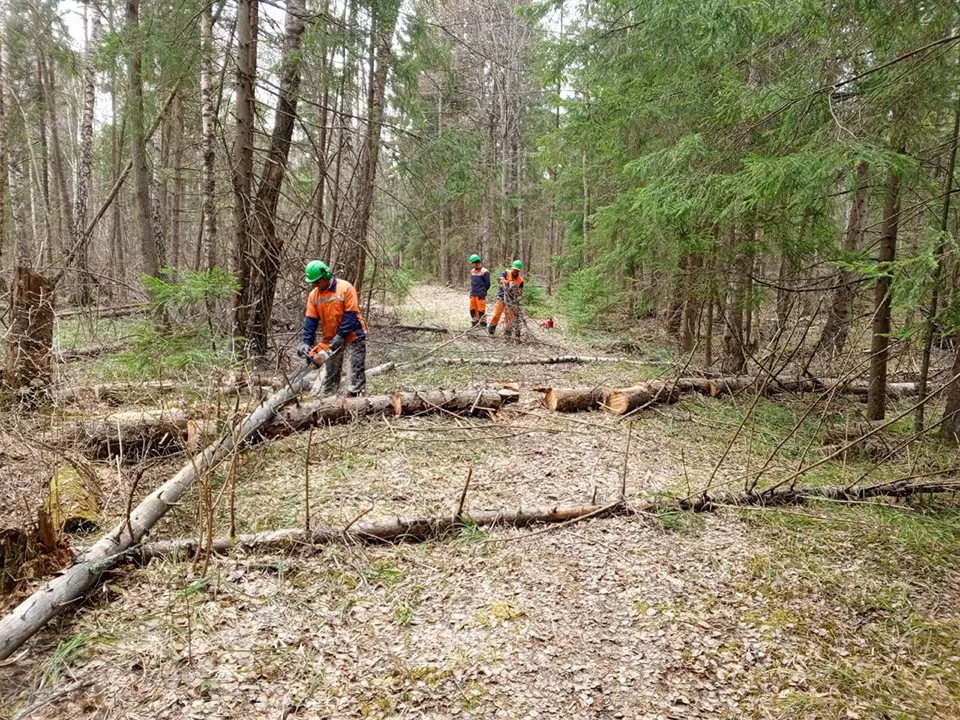 Фото: пресс-служба администрации г.о. Серпухов