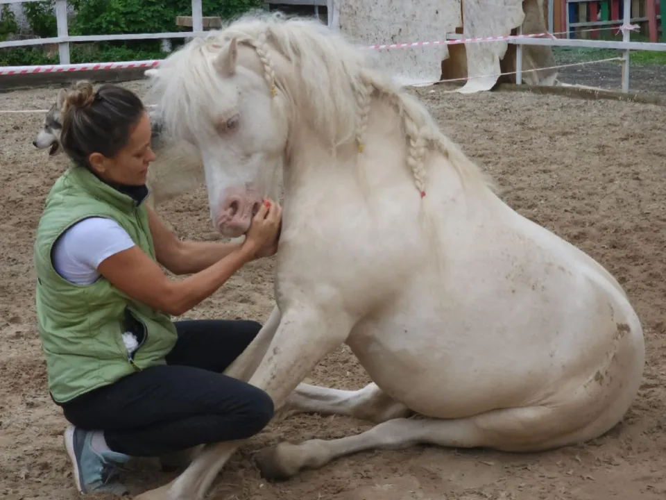 Фото: Хавива Фонина