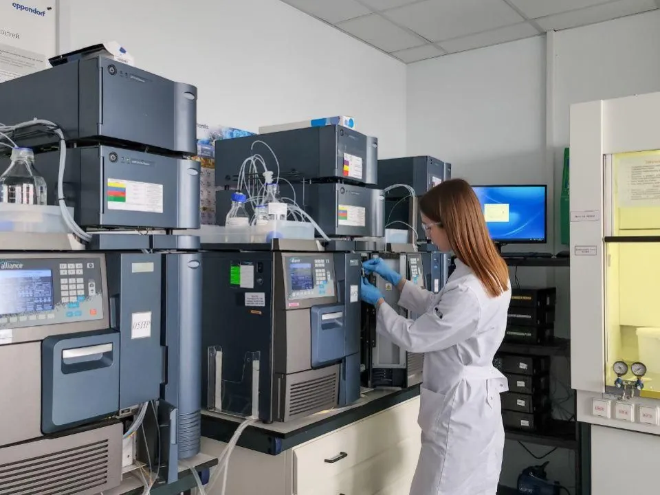 Фото: Мария Андрюхина