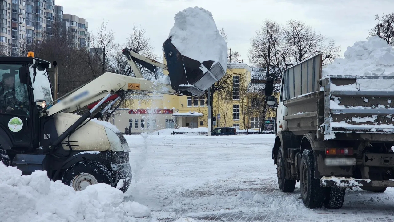 REGIONS/Мария Шигорева