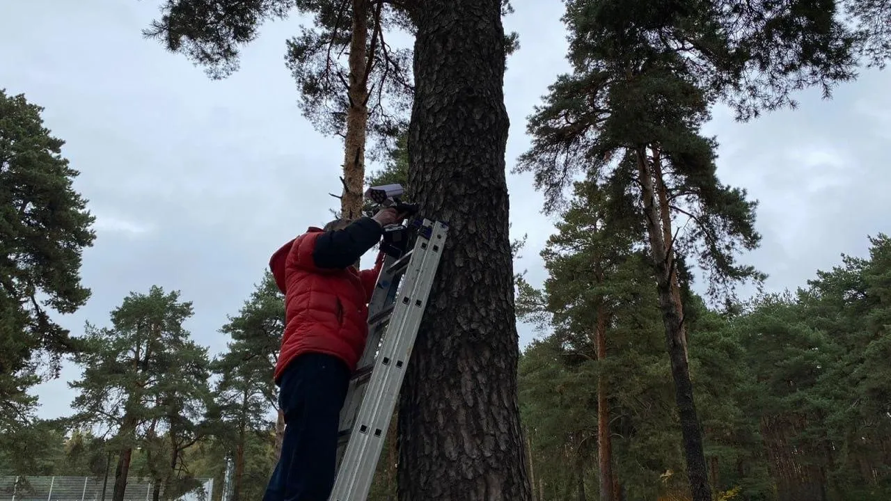 Фото: пресс-служба администрации г.о.Котельники