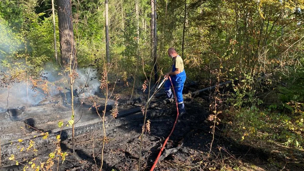 Комитет лесного хозяйства Московской области