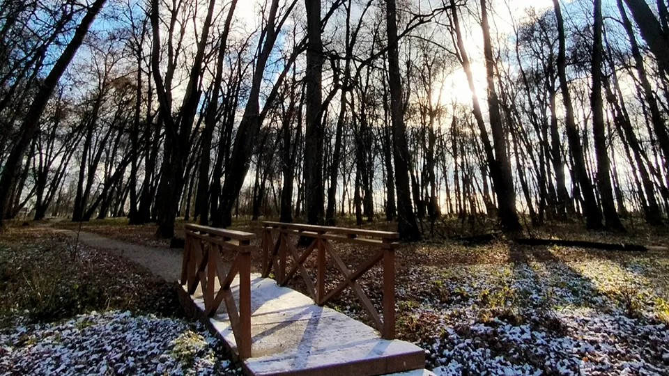 Фото: vk.com/Заповедное Даровое