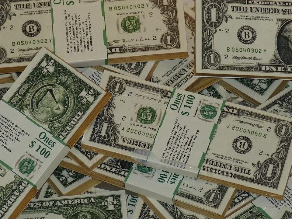 Экономист Литвиненко объяснила, почему Россию не заденет дефолт в США