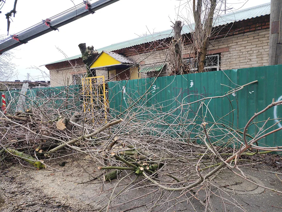 Фото: REGIONS/Александр Степушкин