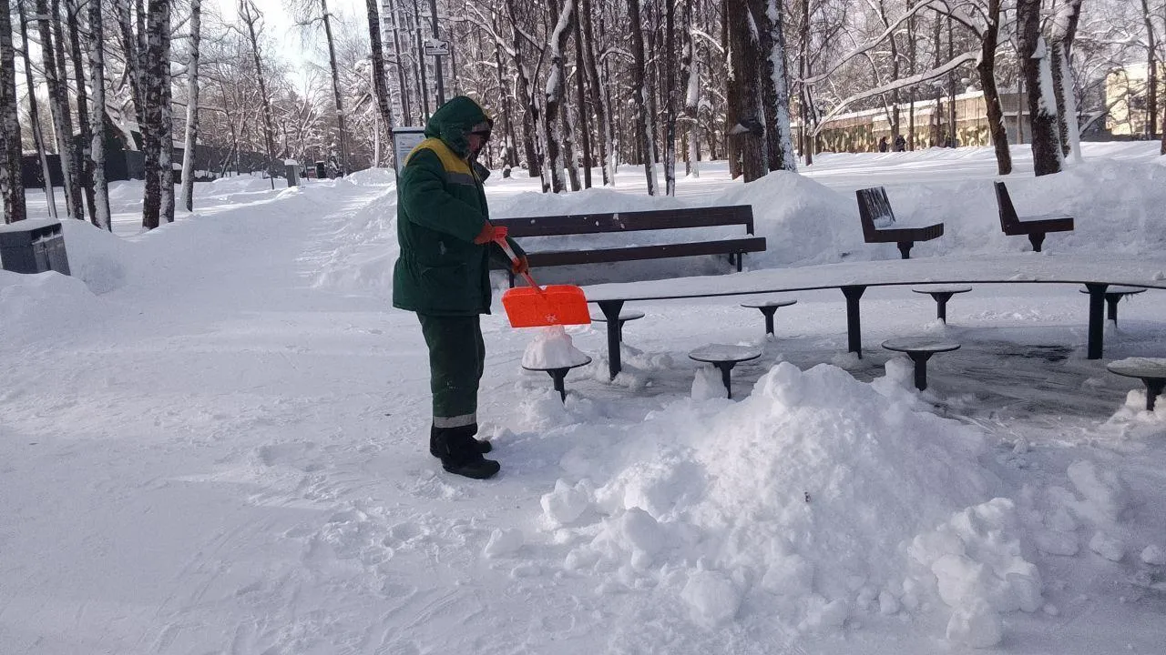 Министерство благоустройства МО