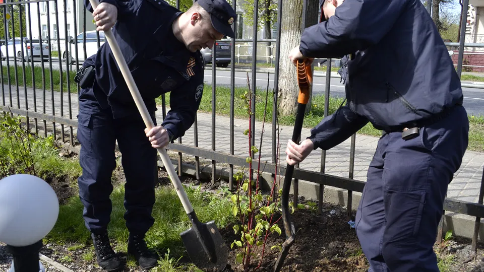 Фото: Максим Гамзин