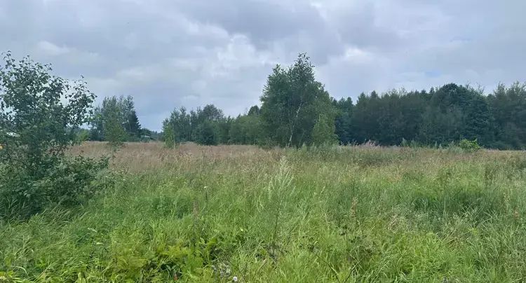 Почти 130 объектов недвижимости выставили на торги в Подмосковье за неделю