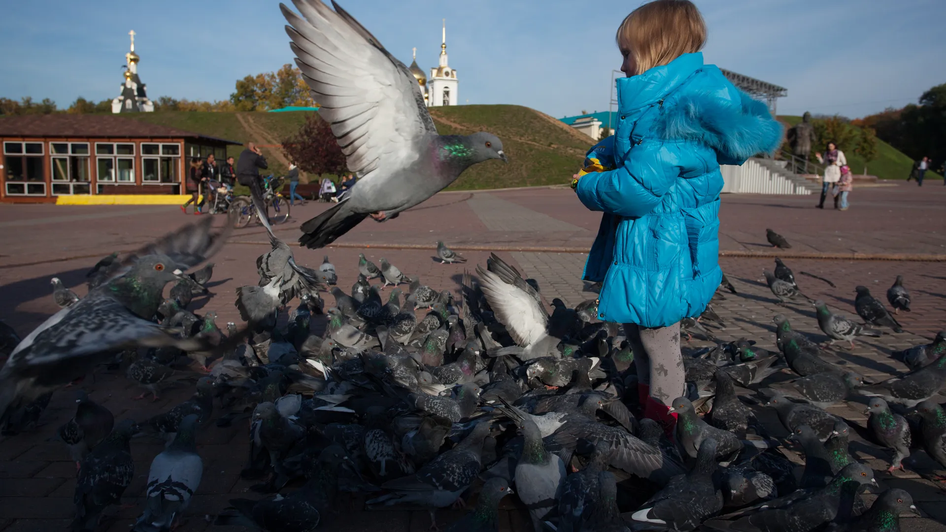 Девочка кормит голубей
