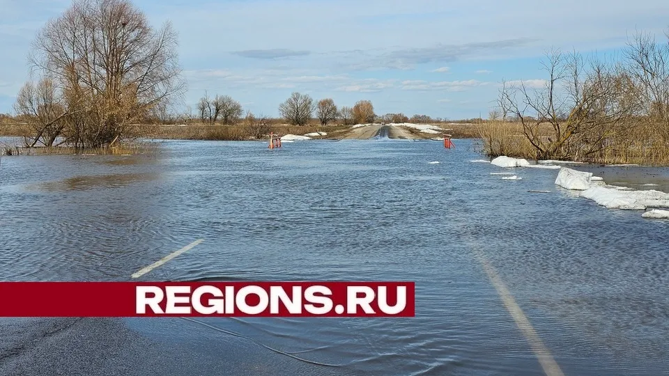 Фото: Александр Дрожжин