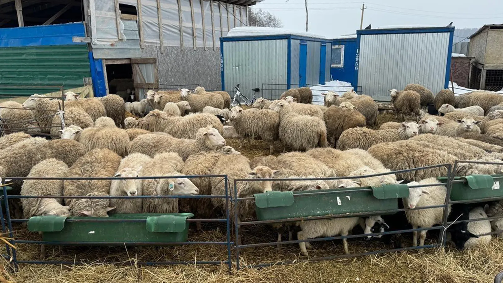 Фото: Минсельхоз МО