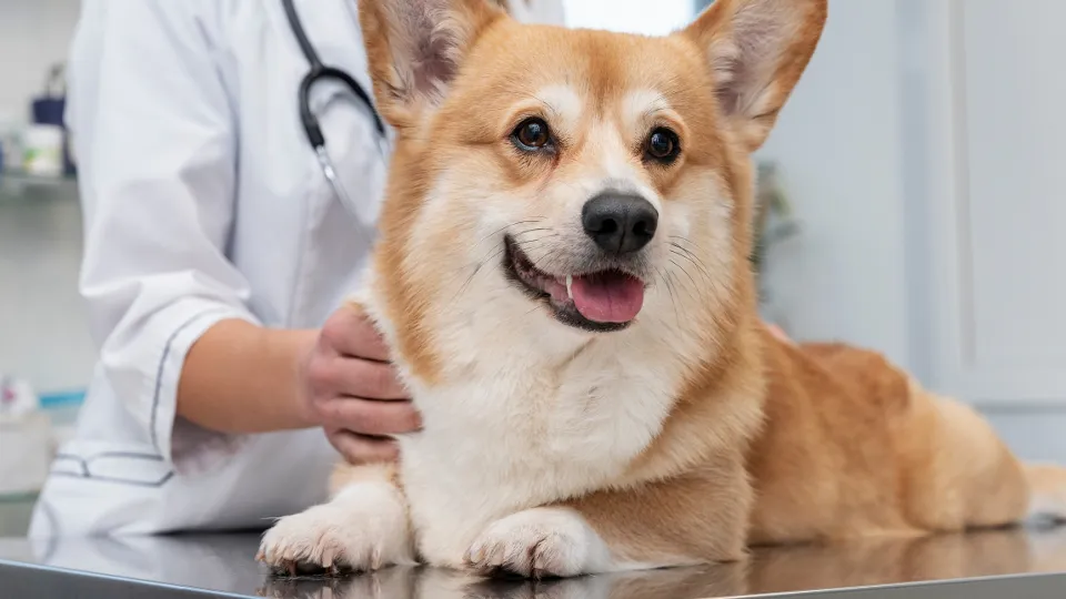 Фото: freepik.com