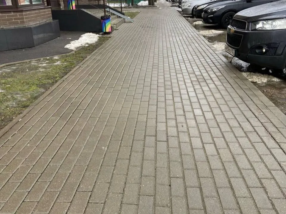 Фото: пресс-служба администрации г.о. Лобня
