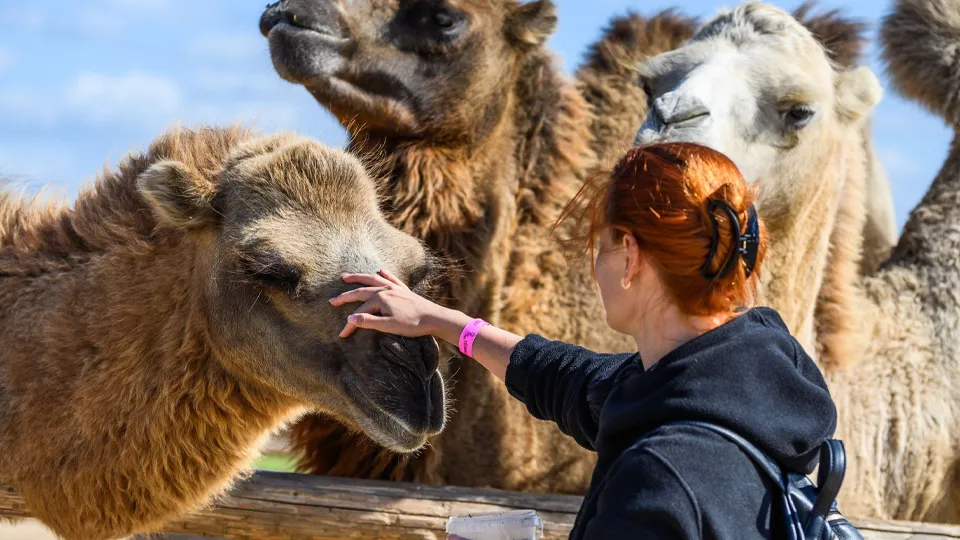 Фото: медиасток.рф
