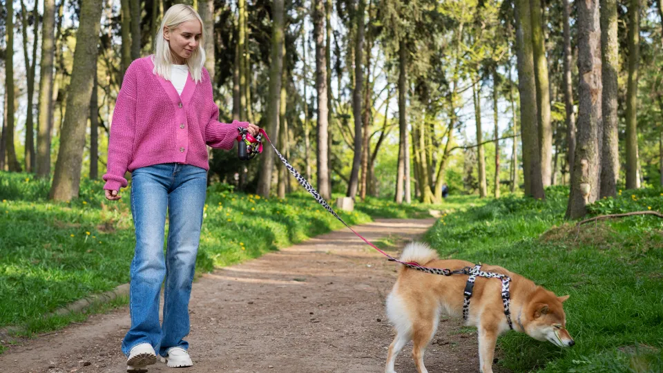 Фото: freepik.com