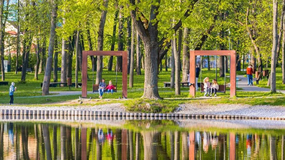 Фото: t.me/parkskitskieprudy